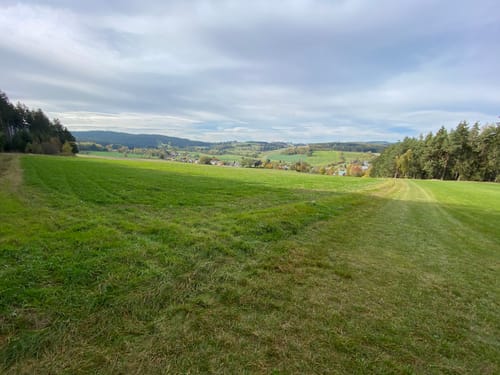 Spiegelwald-Weg US 41