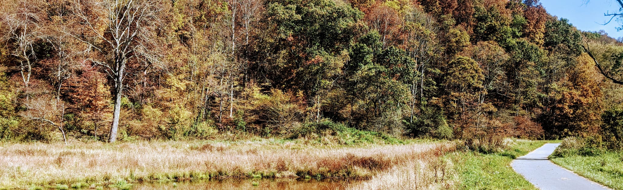 Brookshire Park Loop 148 Reviews, Map North Carolina AllTrails