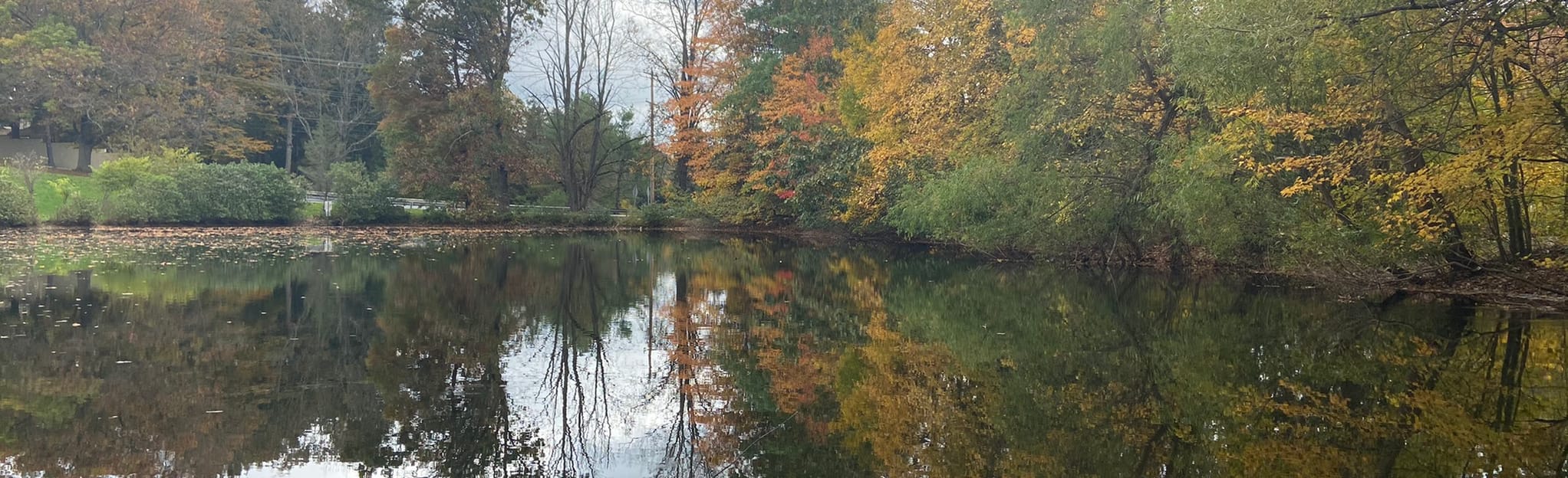 East Fallowfield Community Park Trails, Pennsylvania 43 Reviews, Map