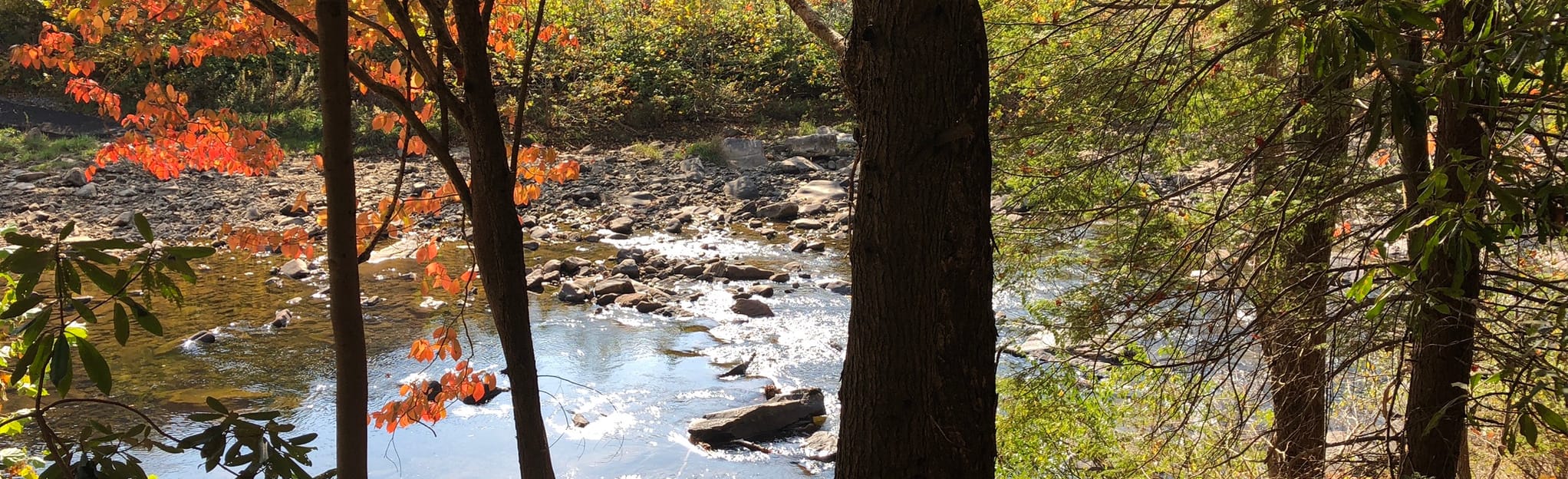 Cranberry/Tri Rivers Rail Trail, West Virginia 7 Reviews, Map AllTrails