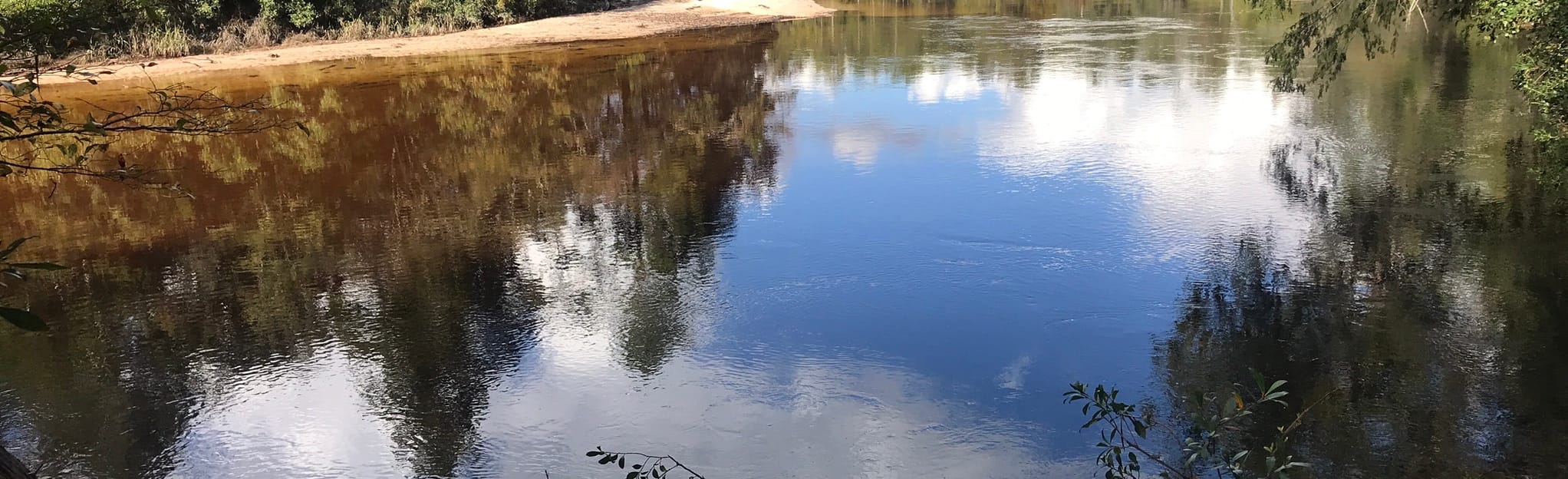 Chain of Lakes Trail 149 Reviews, Map Florida AllTrails