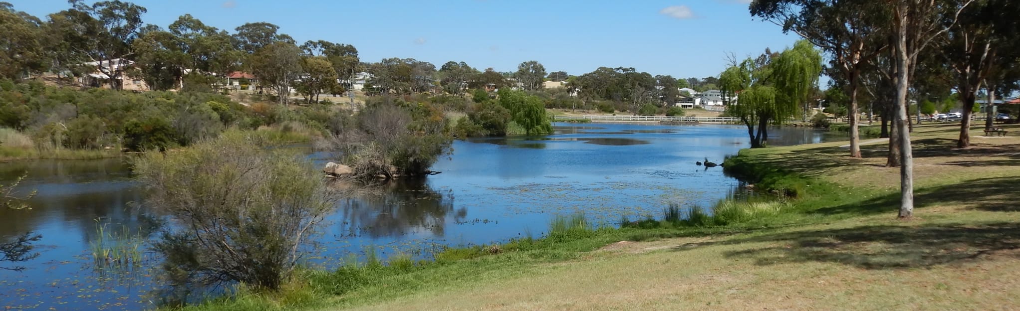 Quart Pot Creek Walk, Queensland, Australia 36 Reviews, Map AllTrails