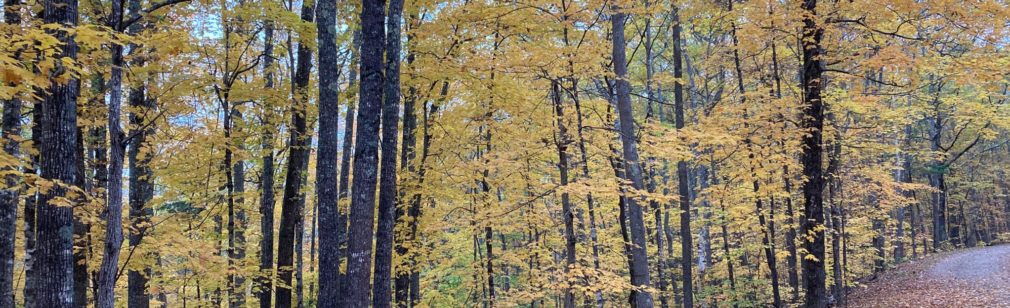 Bald Rock Road and Sky Blue Trail, Maine 26 Reviews, Map AllTrails