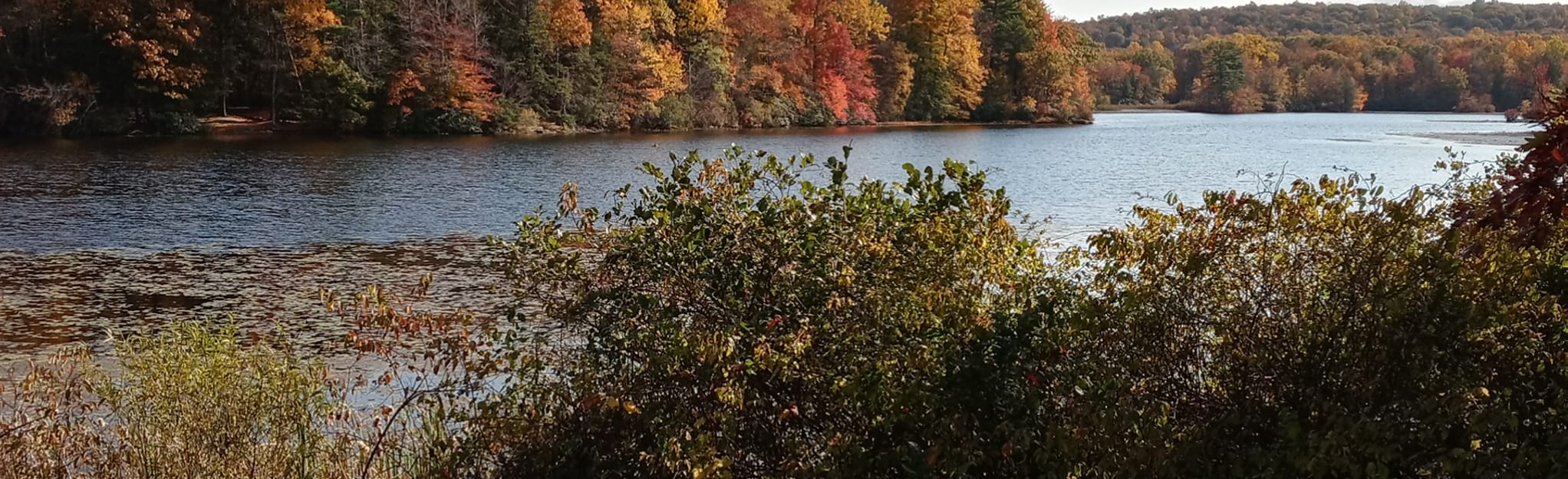 Wawayanda Lake Loop 1.086 foto's New Jersey AllTrails