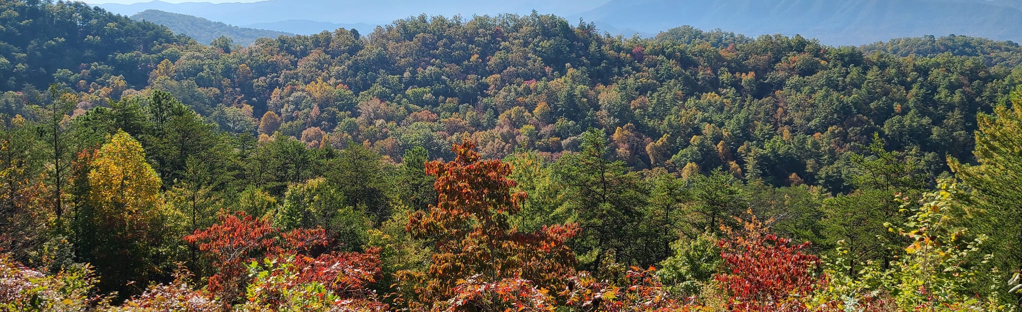 Great Smoky Mountains Scenic Drive Maryville to Clingmans Dome Tennessee AllTrails