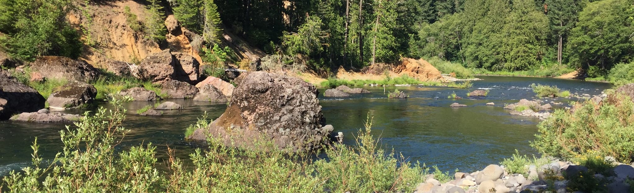 AllTrails Alder Flat Trail 64 Reviews, Map Oregon