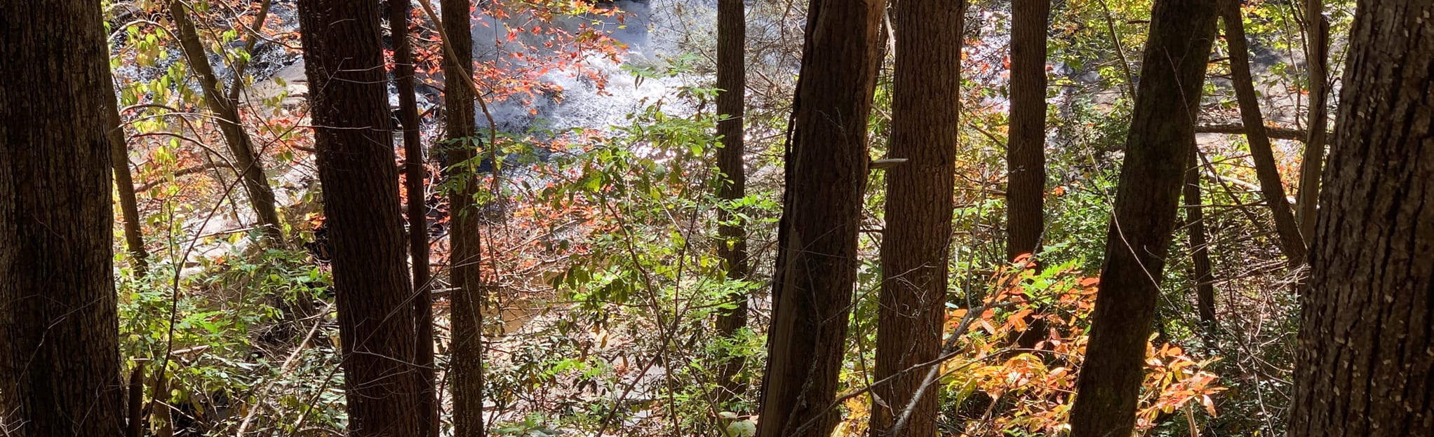 Coker Creek Falls Trail Tennessee AllTrails