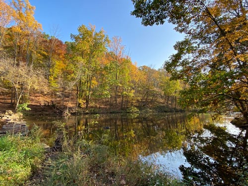 Washington Valley Park Map Best 10 Trails In Washington Valley Park | Alltrails