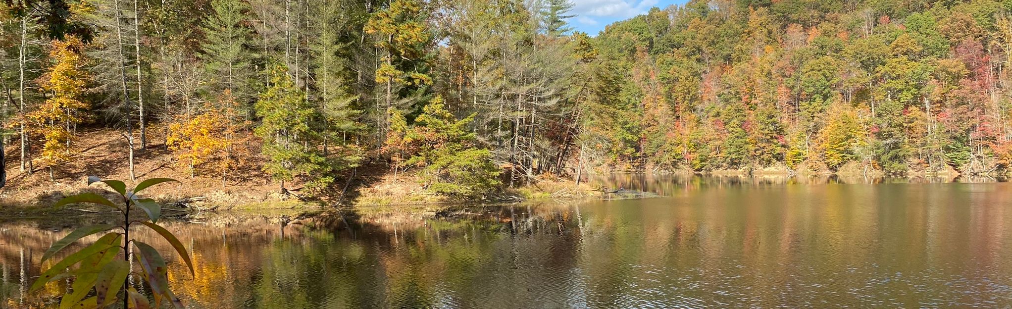 Sheltowee Trace Northern Terminus to Morehead Conference Center | Map ...