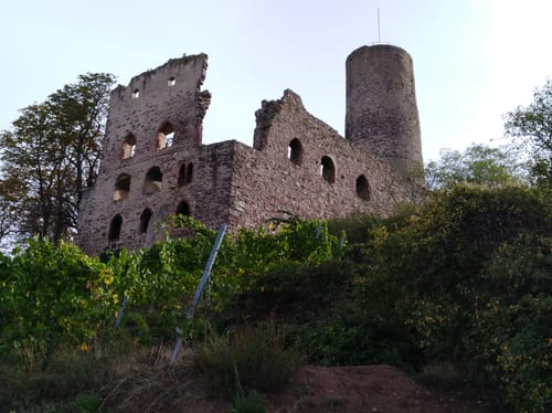 Burgensteig Bergstraße Etappe 9: Dossenheim - Heidelberg