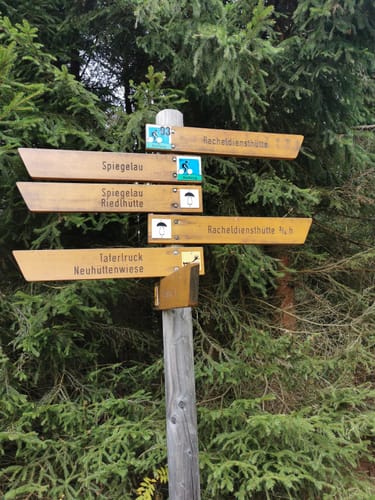 Rundweg Hirschgeweih