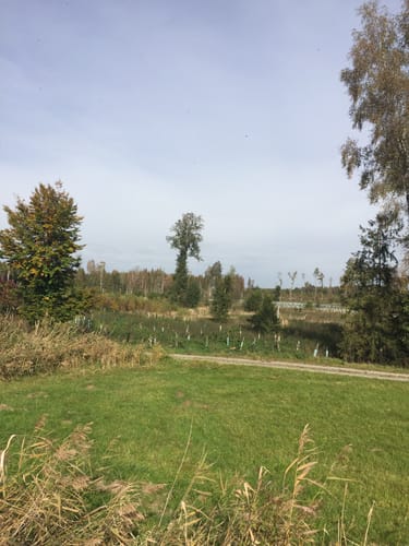 Kanzachtal-Weg