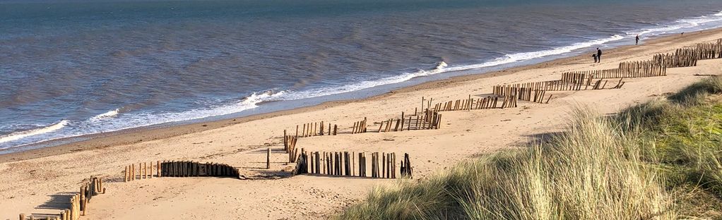 can you walk dogs on hunstanton beach