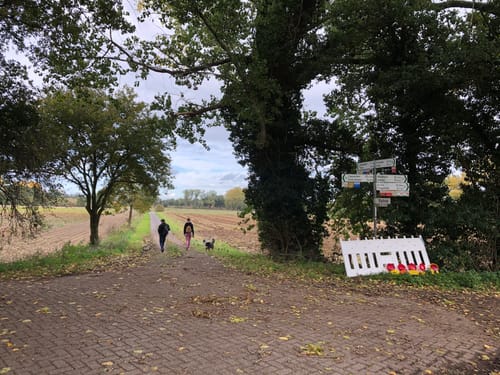 Vechte - Coevorden-Piccardie-Kanal