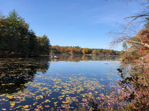 10 Best Hikes and Trails in Harold Parker State Forest | AllTrails