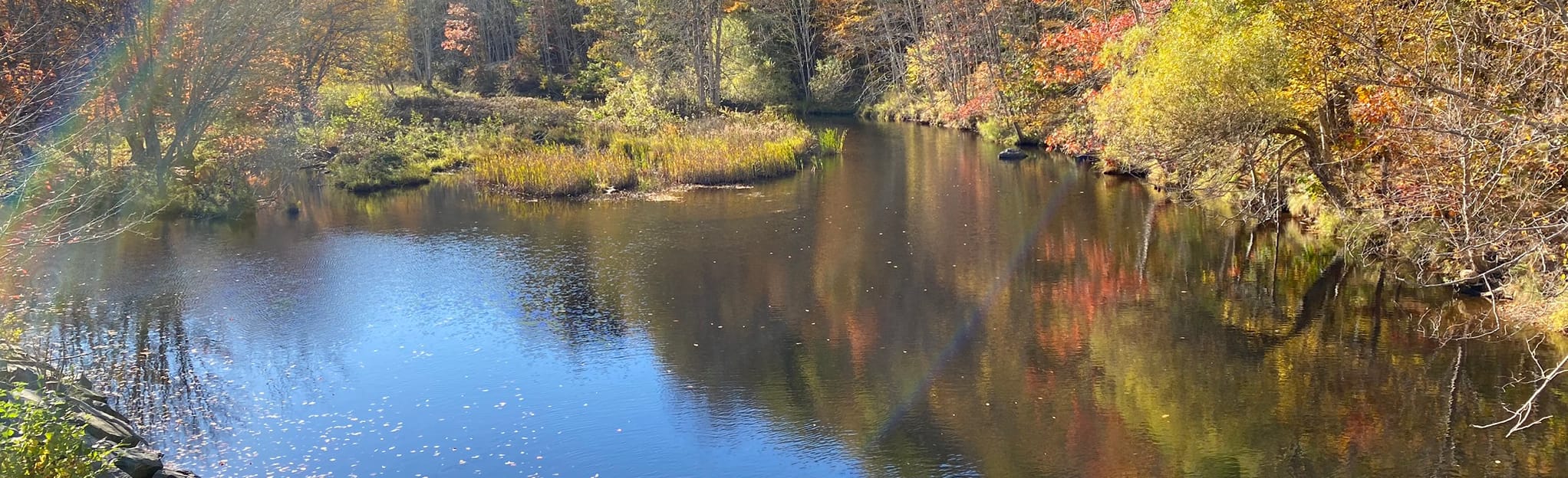Gaspereau River Trail 207 Photos NouvelleÉcosse, Canada