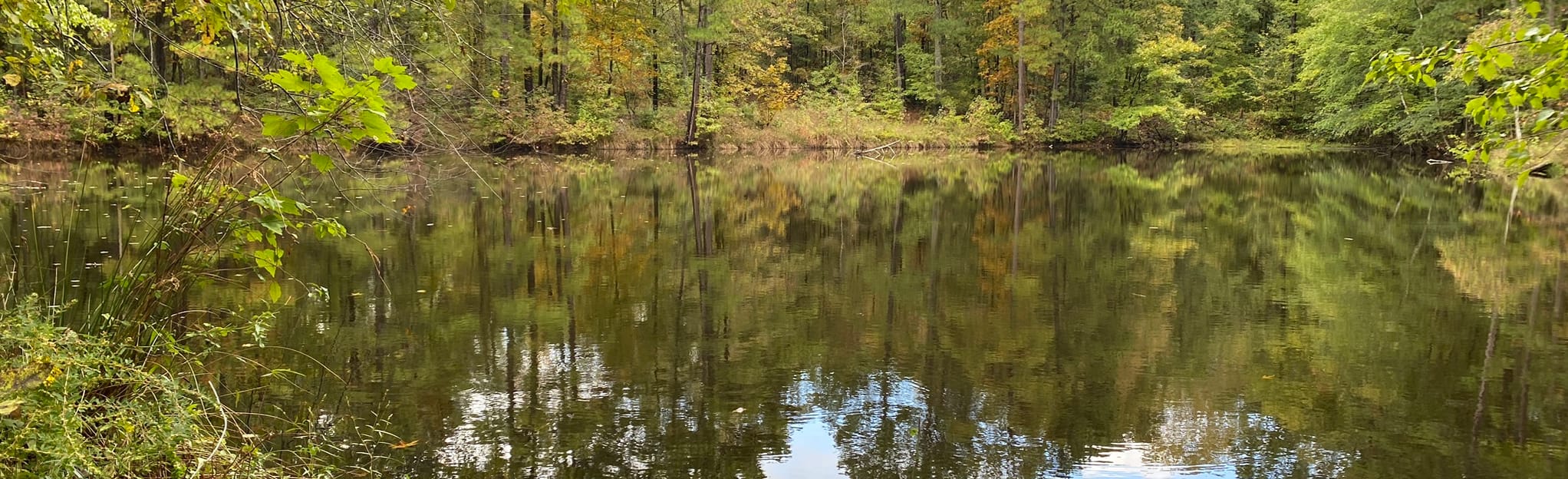 Falls Lake Trail Hwy 98 to Hwy - EyJidWNrZXQiOiJhc3NldHMuYWxsdHJhaWxzLmNvbSIsImtleSI6InVwbG9hZHMvcGhvdG8vaW1hZ2UvMzA3OTcyODgvNWRhNjkxMmUxYmI4OTZhZjU1NTdlMWNlYzIzNTg5NGIuanBnIiwiZWRpdHMiOnsidG9Gb3JtYXQiOiJqcGVnIiwicmVzaXplIjp7IndpZHRoIjoyMDQ0LCJoZWlnaHQiOjYyNCwiZml0IjoiY292ZXIifSwicm90YXRlIjpudWxsLCJqcGVnIjp7InRyZWxsaXNRdWFudGlzYXRpb24iOnRydWUsIm92ZXJzaG9vdERlcmluZ2luZyI6dHJ1ZSwib3B0aW1pc2VTY2FucyI6dHJ1ZSwicXVhbnRpc2F0aW9uVGFibGUiOjN9fX0=