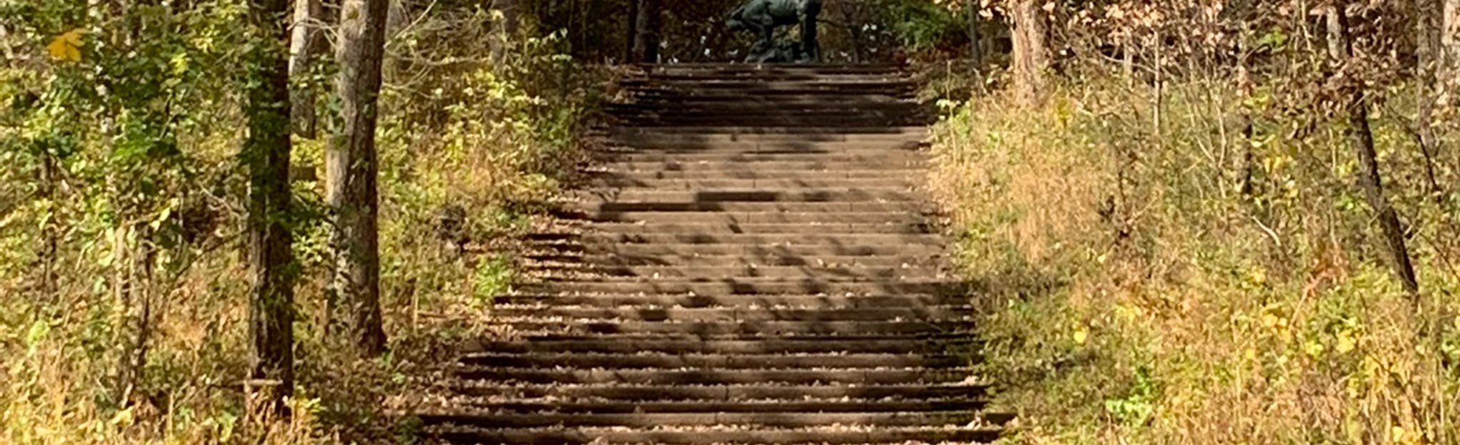 Yellow Trail, Illinois 48 Reviews, Map AllTrails