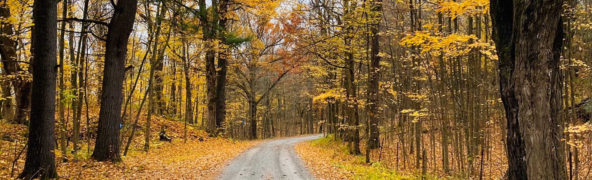 Mallorytown Landing Trails, Ontario, Canada 33 Reviews, Map AllTrails