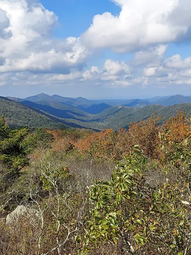 10 Best Hikes and Trails in Ouachita National Forest | AllTrails