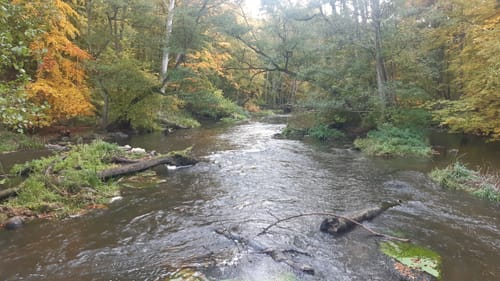 Naturlehrpfad Durchbruchstal der Warnow und der Mildenitz