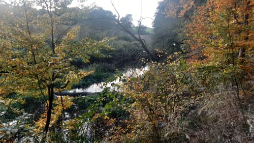 Naturlehrpfad Durchbruchstal der Warnow und der Mildenitz