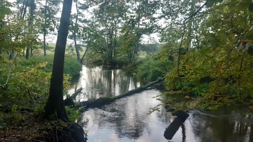 Naturlehrpfad Durchbruchstal der Warnow und der Mildenitz