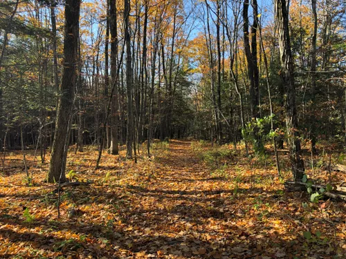 10-best-hikes-and-trails-in-thacher-state-park-alltrails