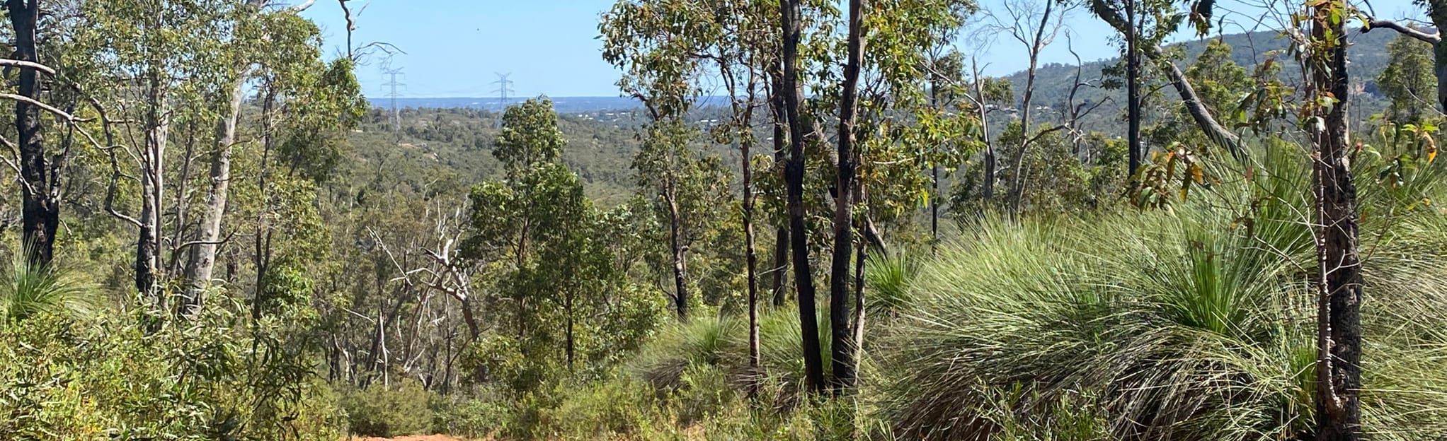 Helena Valley via Gooseberry Hill, Western Australia, Australia 66