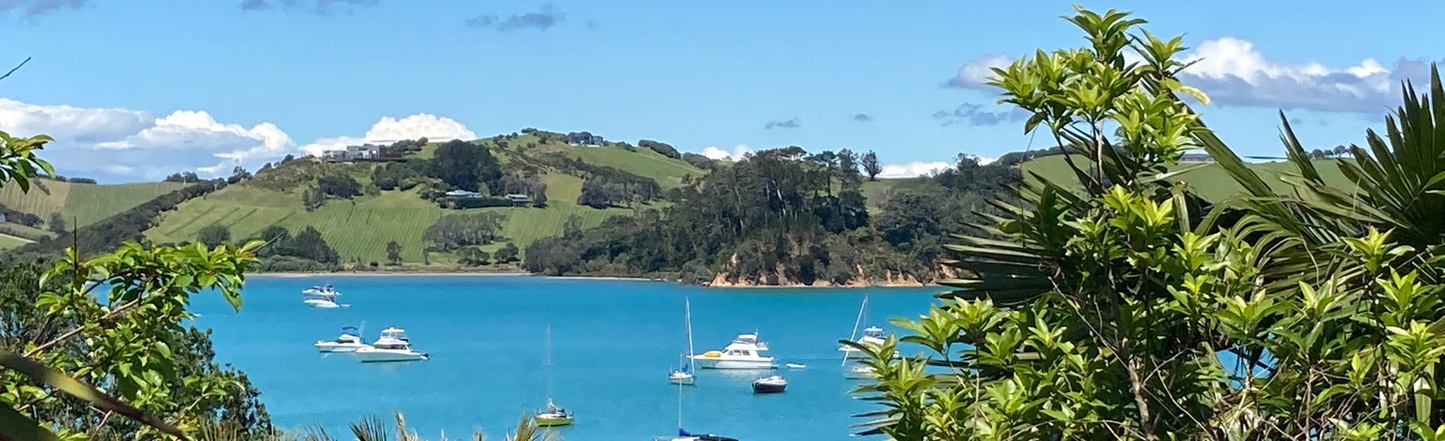 Rocky Bay Roads Path, Auckland, New Zealand Map, Guide AllTrails