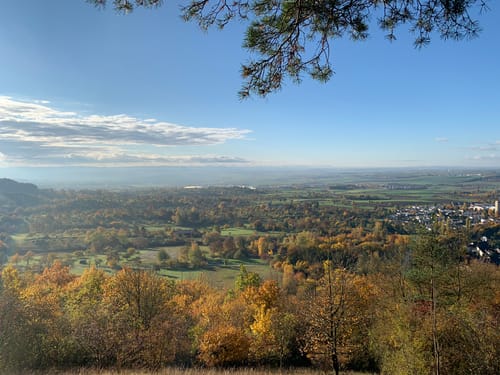Waldseilgarten und Eiche am alten Rain ab Naturfreundehaus Herrenberg