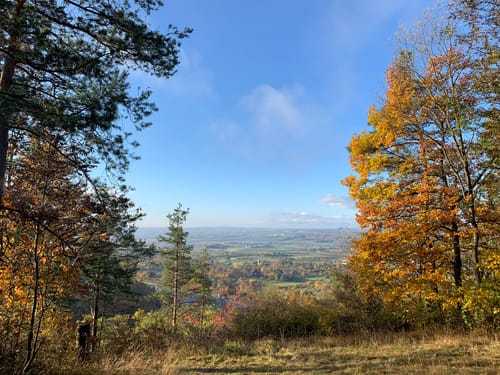 Waldseilgarten und Eiche am alten Rain ab Naturfreundehaus Herrenberg