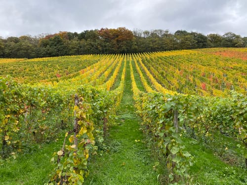 Tour 3 - Klosterlandschaft Heisterbach