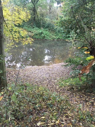 Bad Salzuflen nach Vlotho