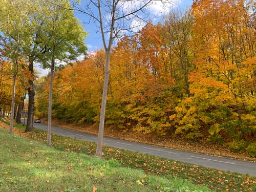 Werdau - Langenbernsdorf