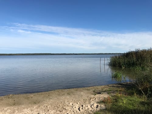 In der Schorfheide zwischen Grimmnitzsee und Werbellinsee