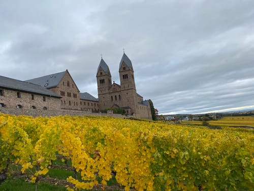 Rheinsteig Etappe 17: Lorch - Rüdesheim