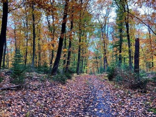 Mutter Wehner Rundweg A2