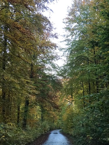 Oberkochen und Volkmarsberg