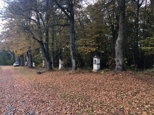 Rundwanderweg Hirschau - Schnaittenbach