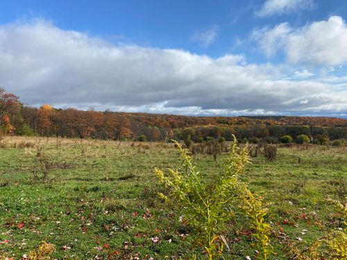 Best 10 Hikes and Trails in Finger Lakes National Forest | AllTrails