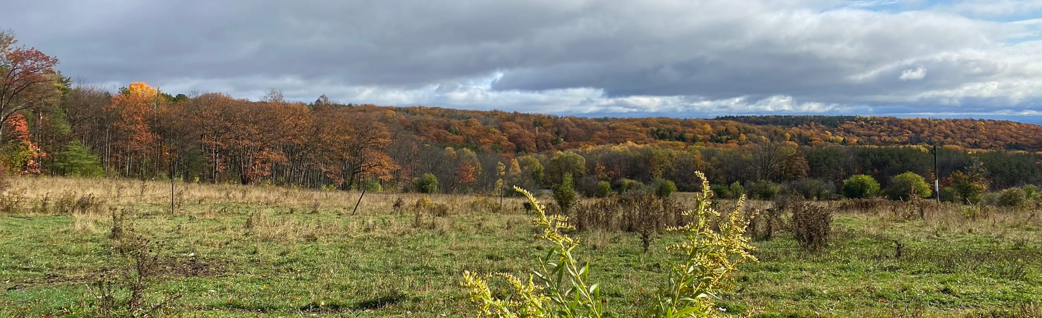 Burnt Hill Trail 65 Reviews, Map New York AllTrails