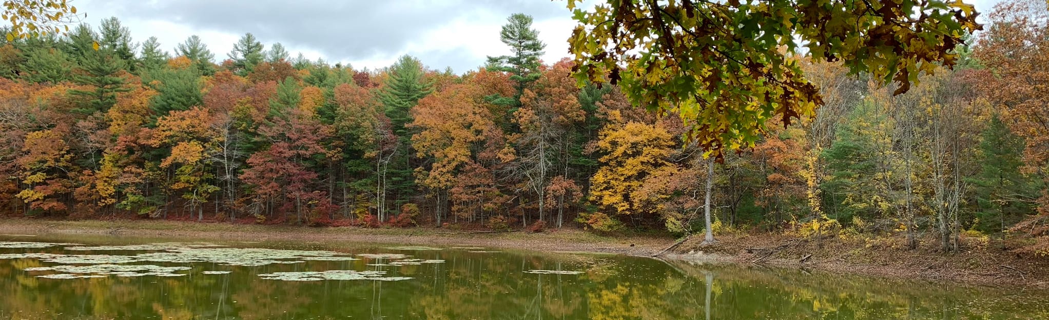 Wachusett Reservoir Gate 35 to 27 Trail 28 Reviews, Map