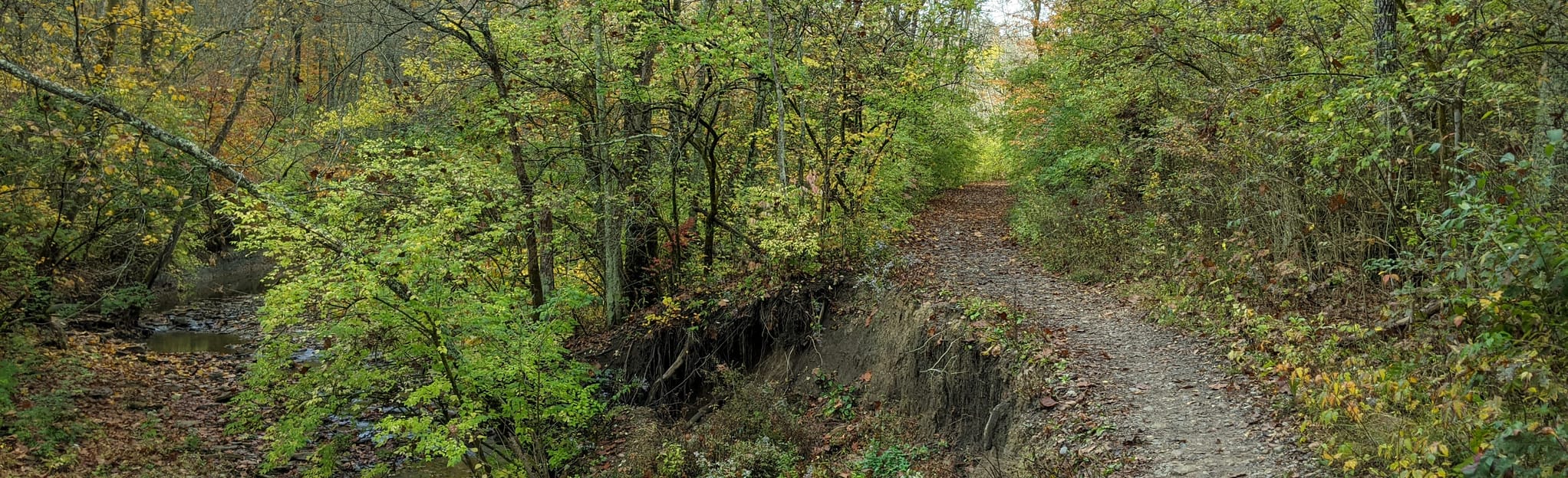 Red Bird Hollow Trail, Ohio 176 Reviews, Map AllTrails