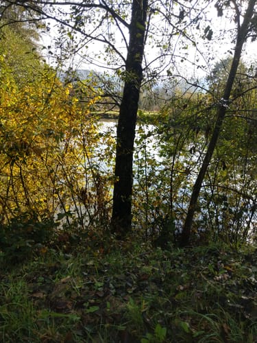 Benediktusweg Berching