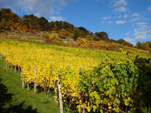 Weintal-Route Ebelsbach