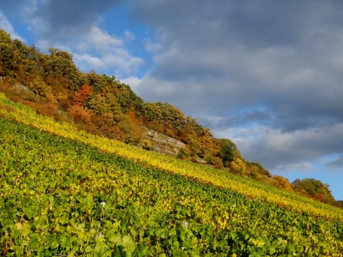 Weintal-Route Ebelsbach