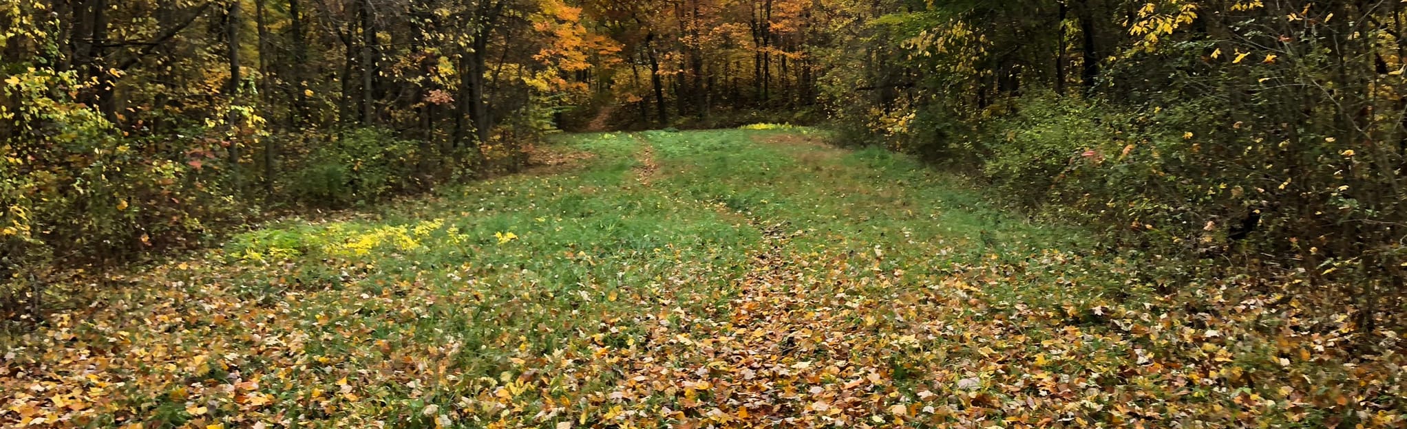 North Country Trail Mines and Meadows 68 Reviews, Map Pennsylvania