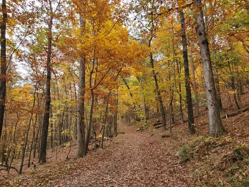 Best Hikes and Trails in Basye | AllTrails