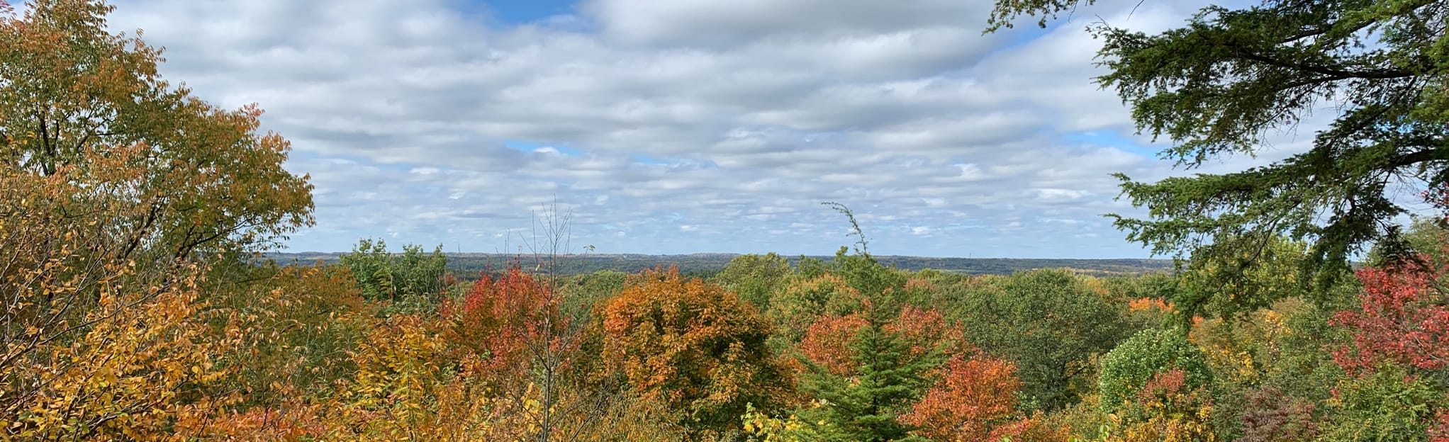 Boston Run and Ledges Loop, Ohio 158 Reviews, Map AllTrails